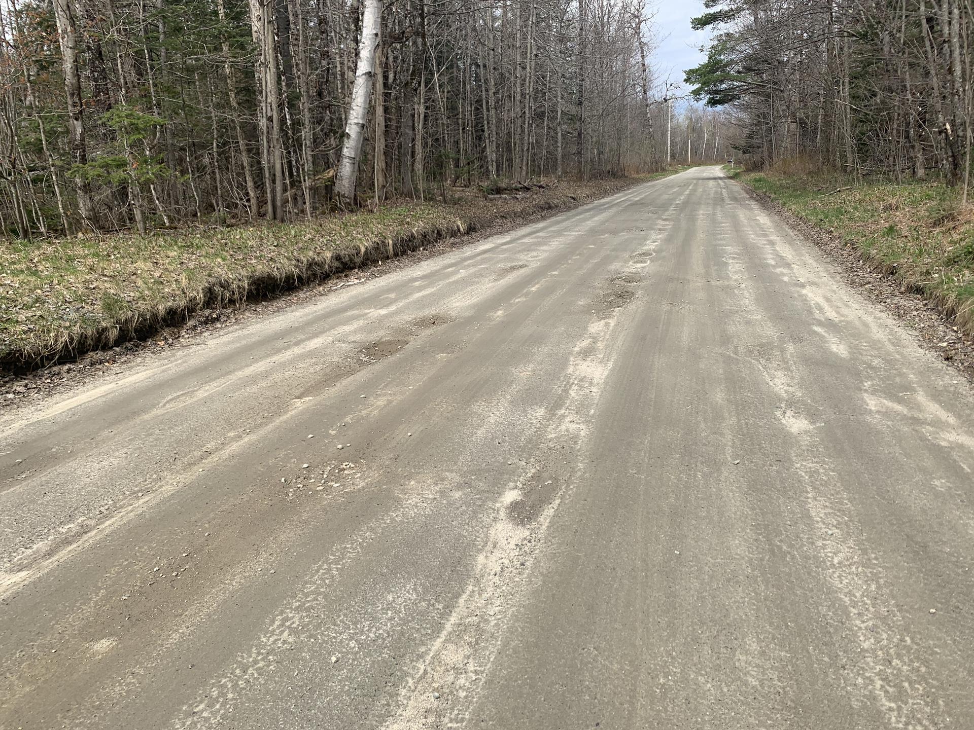 Wide dirt road through a forest with bare trees under an overcast sky.