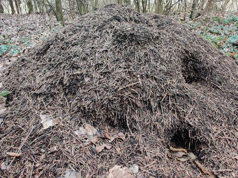 Wüstung Möbis Wanderungen und Rundwege komoot