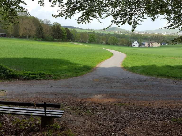 Bank Am Waldrand / Blick auf Mendig Wanderungen und Rundwege komoot