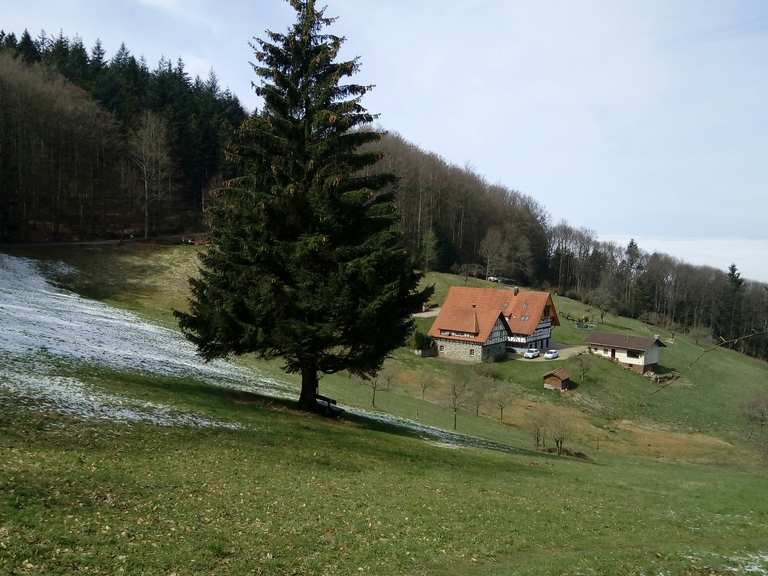 Haus Peduzzi MountainbikeTouren und Trails komoot