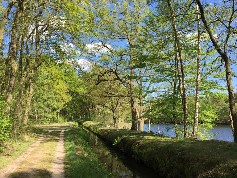 Ahlhorner Fischteiche mit Kirche Radtouren und Radwege komoot