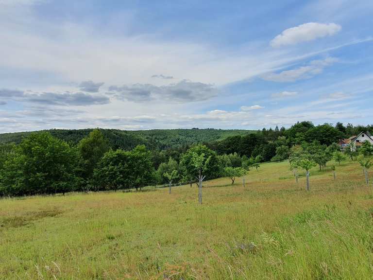 Toller Ausblick mit Sitzbänken und Infotafeln - Dammbach, Aschaffenburg
