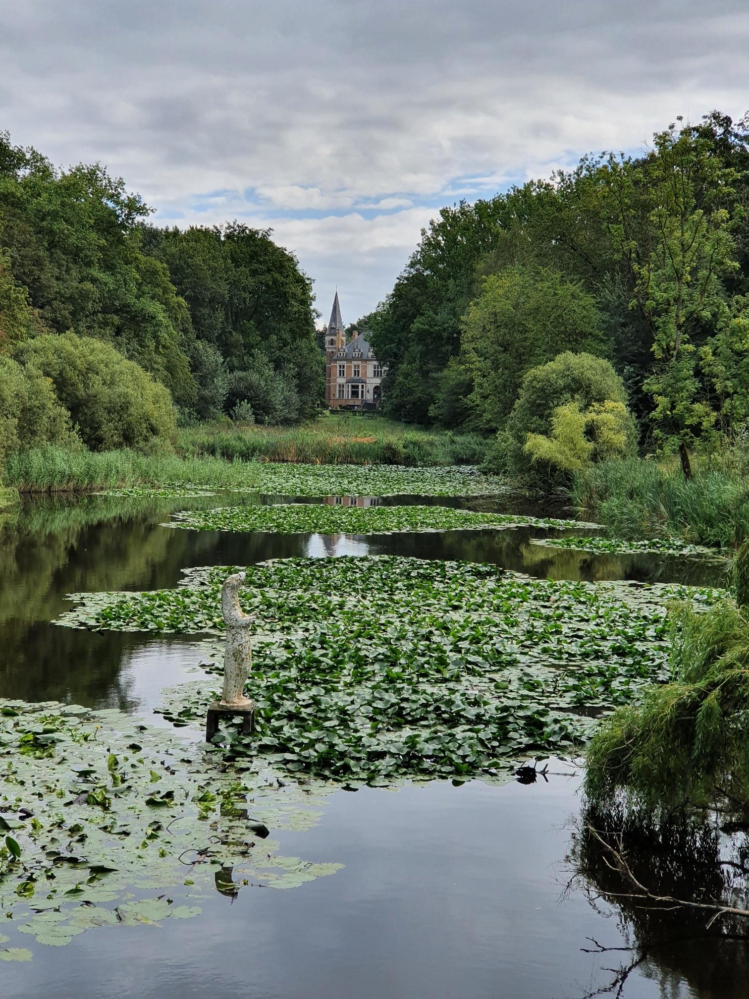 Zicht Op Kasteel De Blankaart Wandelroutes En Hikes | Komoot