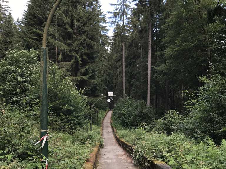 Wanderung durch die alte Bobbahn - Friedrichroda, Gotha | Wanderweg