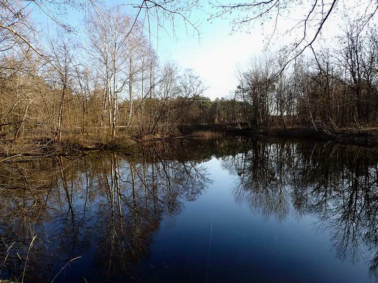 Nudower Teiche Routes for Walking and Hiking Komoot