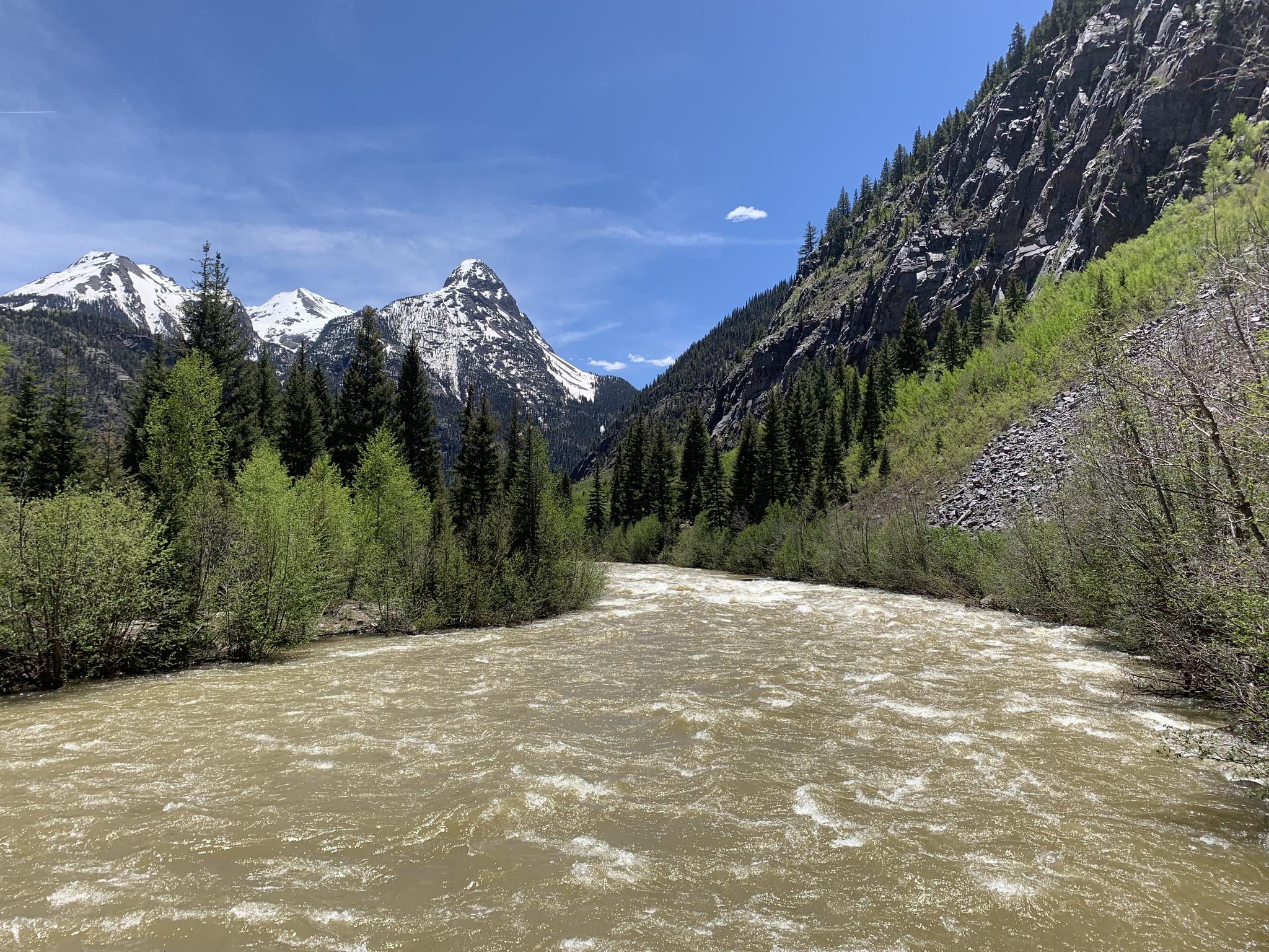 Rushing river flows through a valley with snowy mountains and green trees.