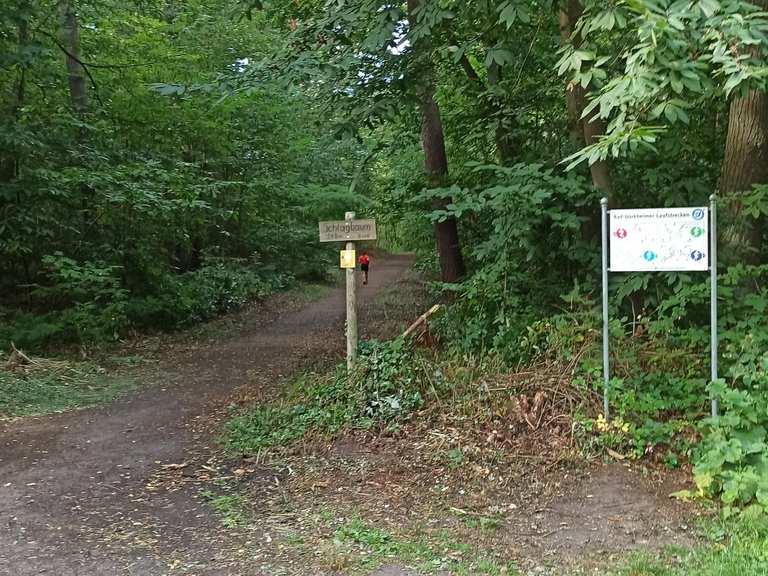 Am Schlagbaum (288 m ü. NHN) Wanderungen und Rundwege komoot