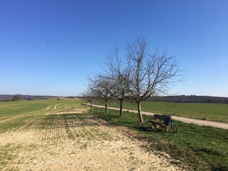 von Hoffenheim über Bargen, Daudenzell nach Waibstadt | Fahrradtour ...
