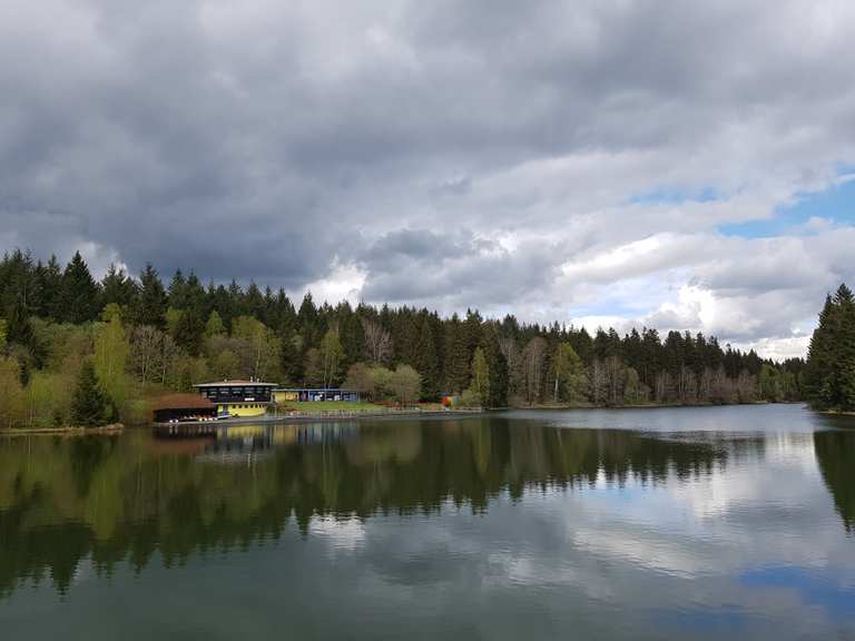 Kuttelbacher Teich Harz, Deutschland Wandertipps & Fotos Komoot