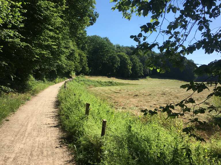 Naturschutzgebiet Elbsee Neandertal Düsseltal Runde