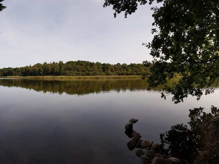 Bredenbeker Teich Wanderungen und Rundwege komoot