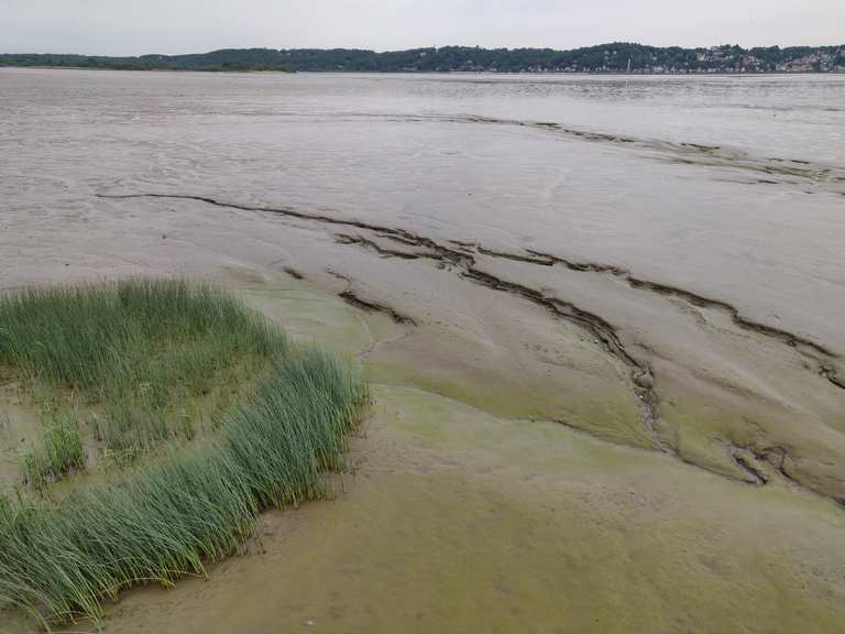 Fährfahrt von Cranz nach Blankenese Routes for Walking and Hiking Komoot