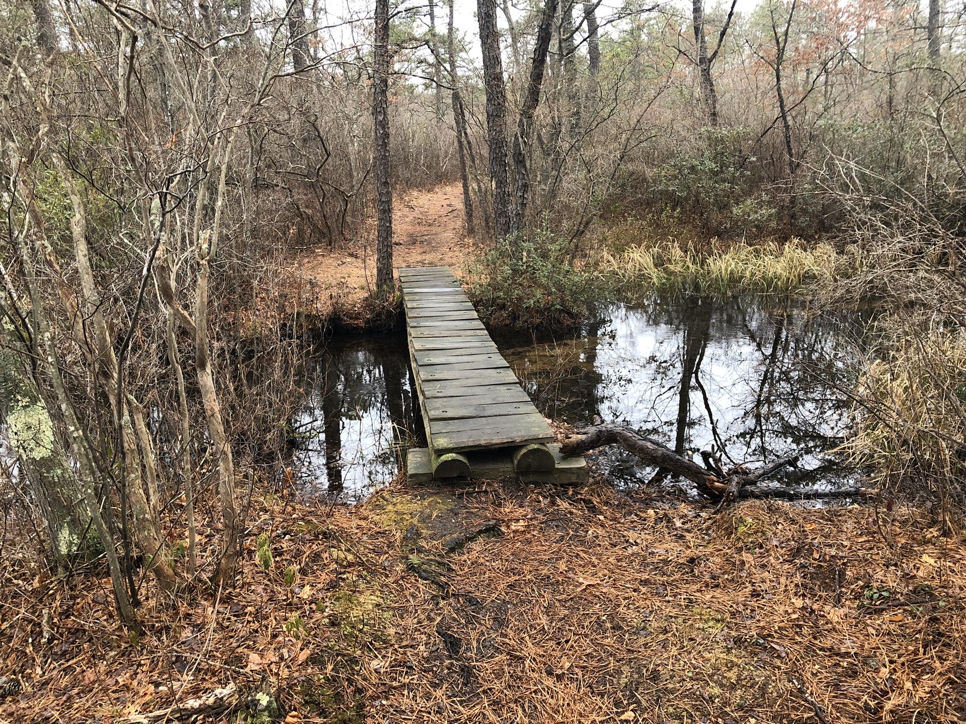 Small wooden bridge crosses dark water in a bare, winter forest.
