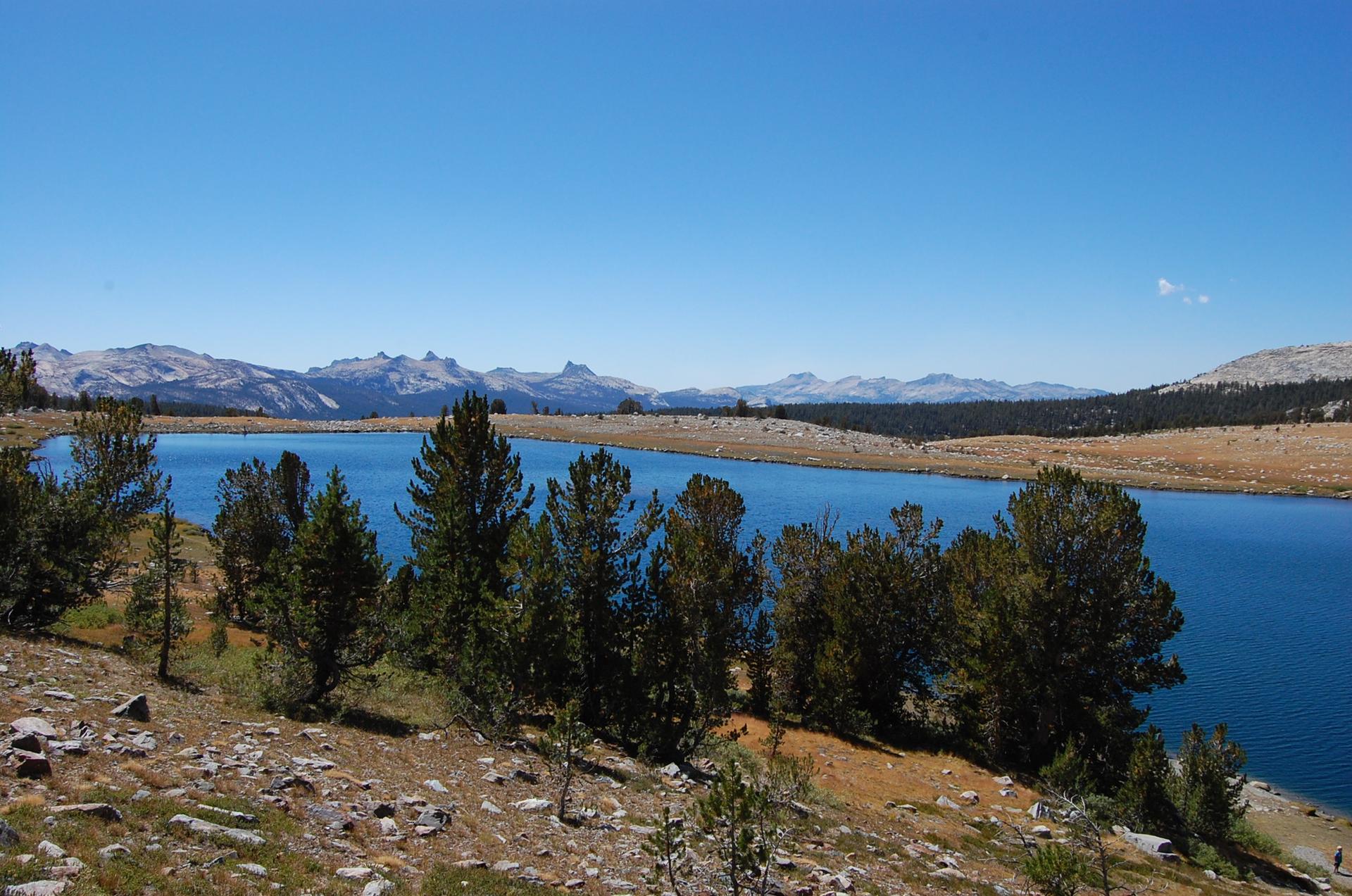 Expansive blue lake bordered by pine trees, with rugged mountains in the distance.
