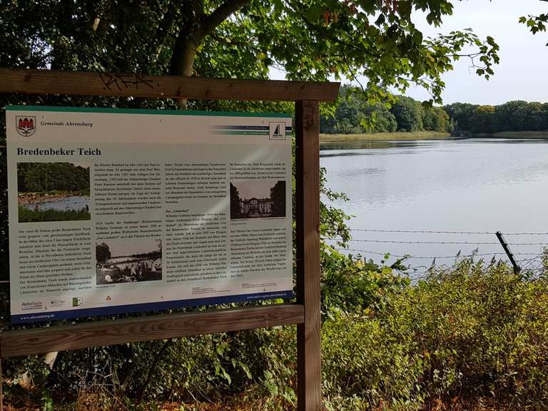 Bredenbeker Teich Routes for Walking and Hiking Komoot