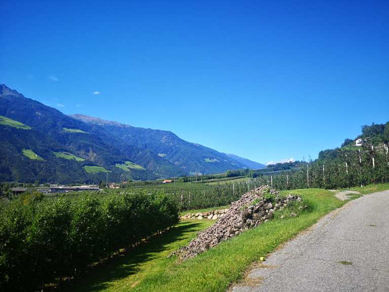 Sonnenberger Panoramaweg Wanderungen und Rundwege komoot