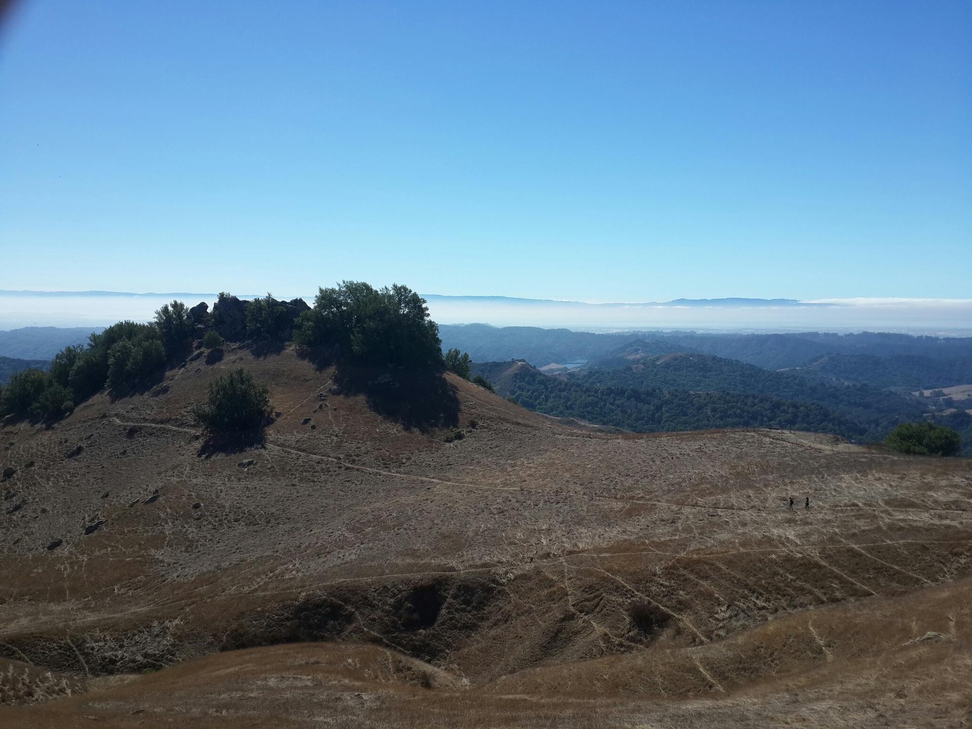 A hilltop with trees overlooks dry, brown hills and a hazy distant horizon.