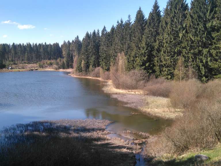 Oberer Flambacher Teich Wanderungen und Rundwege komoot
