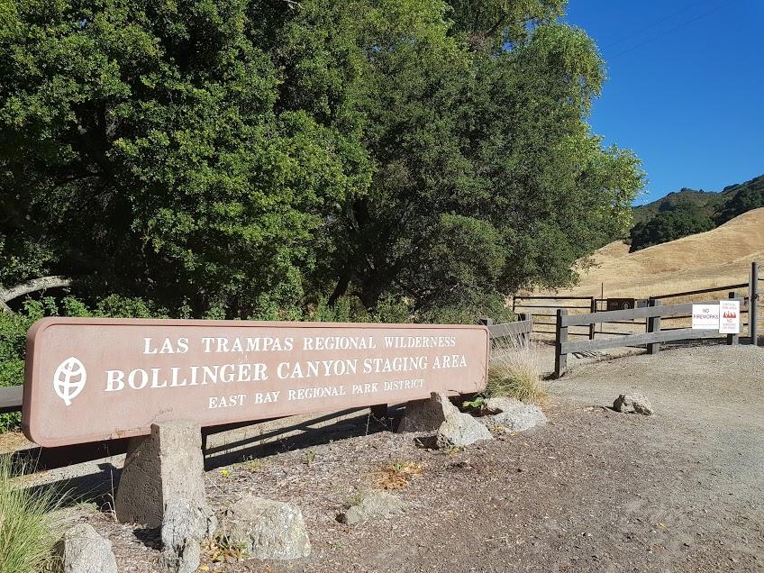 A large brown sign stands by a wooden fence and green trees.