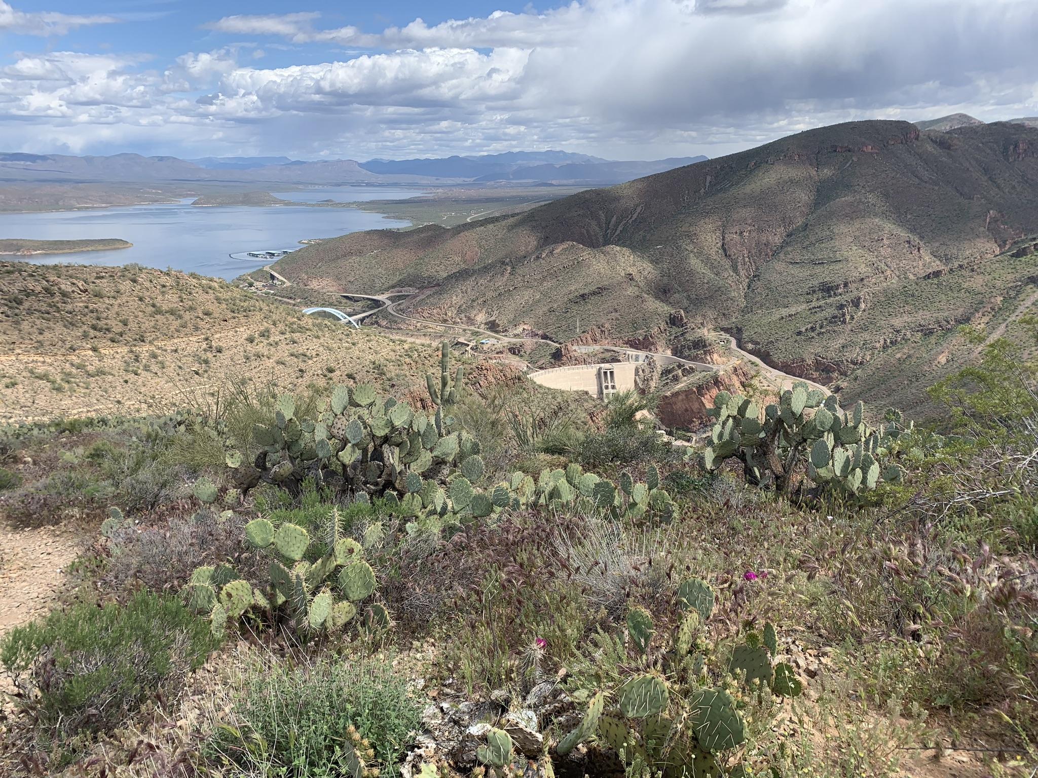 Desert landscape with distant lake, mountains, and cacti under a cloudy sky.