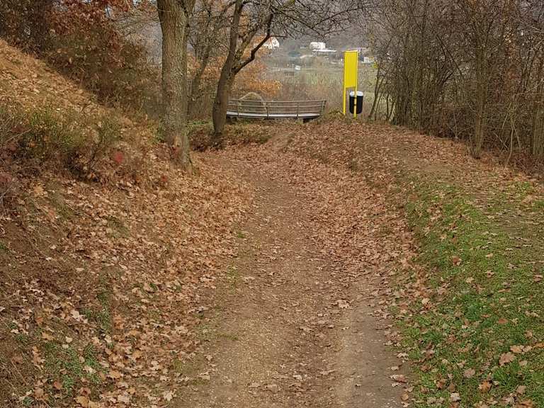 Salzwiesen Wisselsheim Routes for Walking and Hiking Komoot