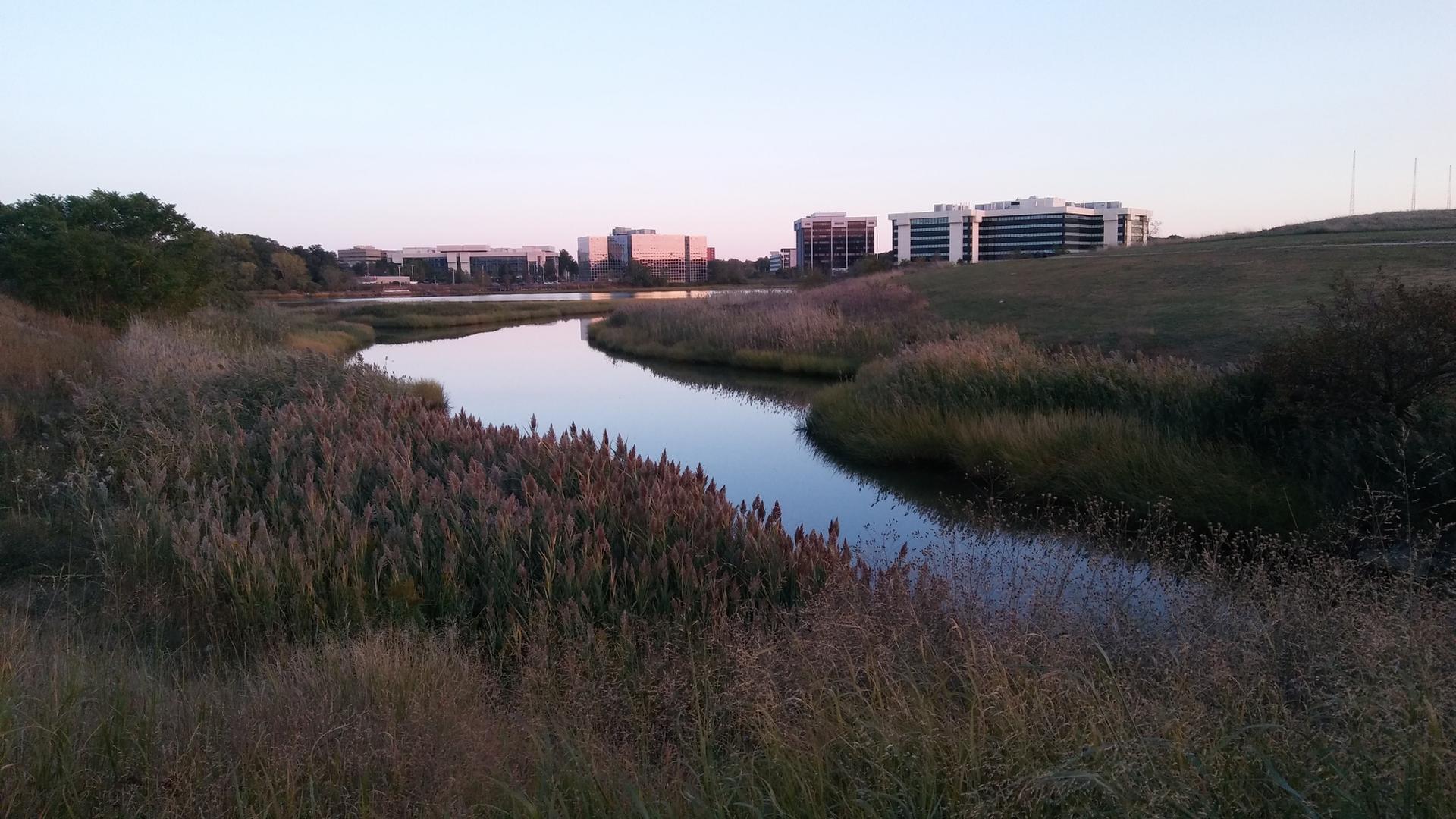 A winding river flows through grassy banks with distant buildings under evening light.