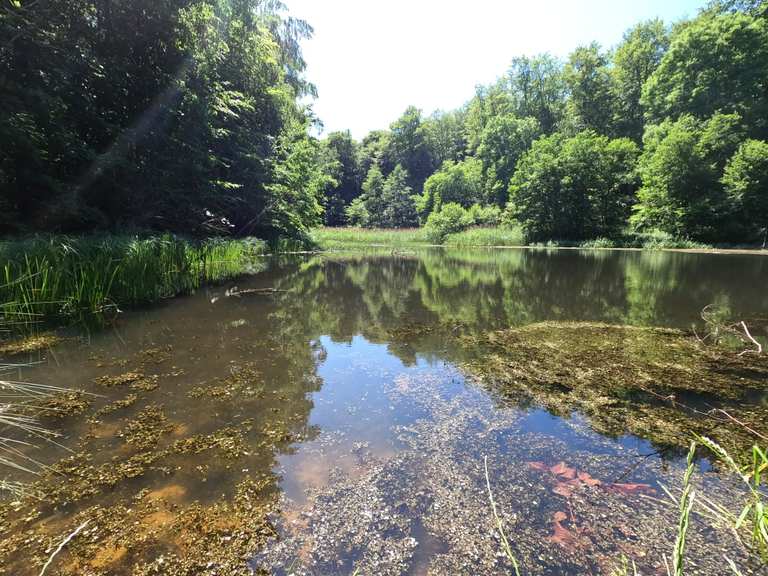 Klosterteiche in Hütter Wohld wandelroutes en hikes Komoot