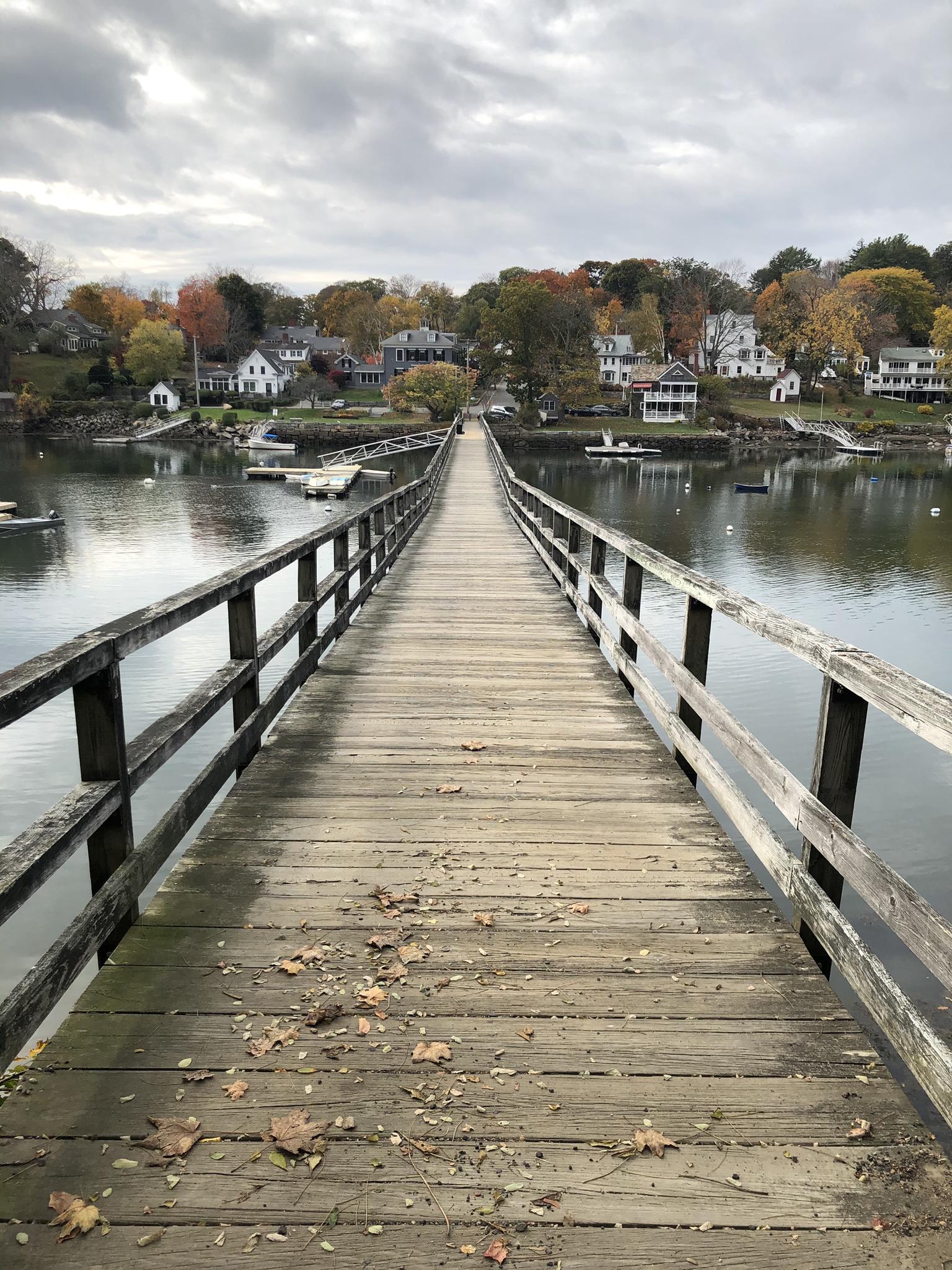 Long wooden pier over water towards houses and autumn trees.