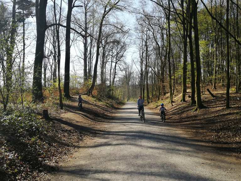 Aaper Wald Kaiserpfalz Kaiserswerth Runde von Langenfeld