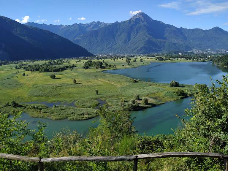 Panoramico del Lago di Mezzola Riserva Naturale Pian di Spagna e Lago