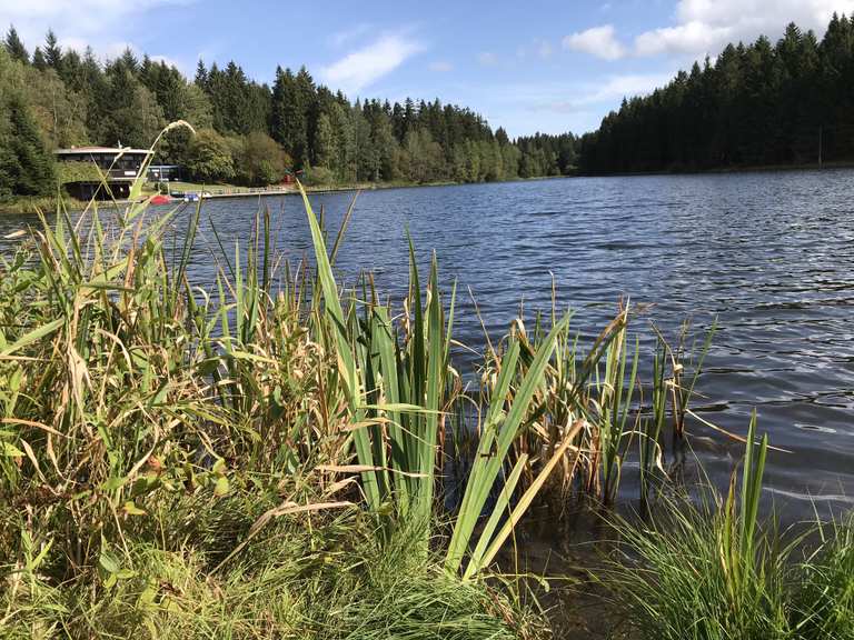 Kuttelbacher Teich Wanderungen und Rundwege komoot