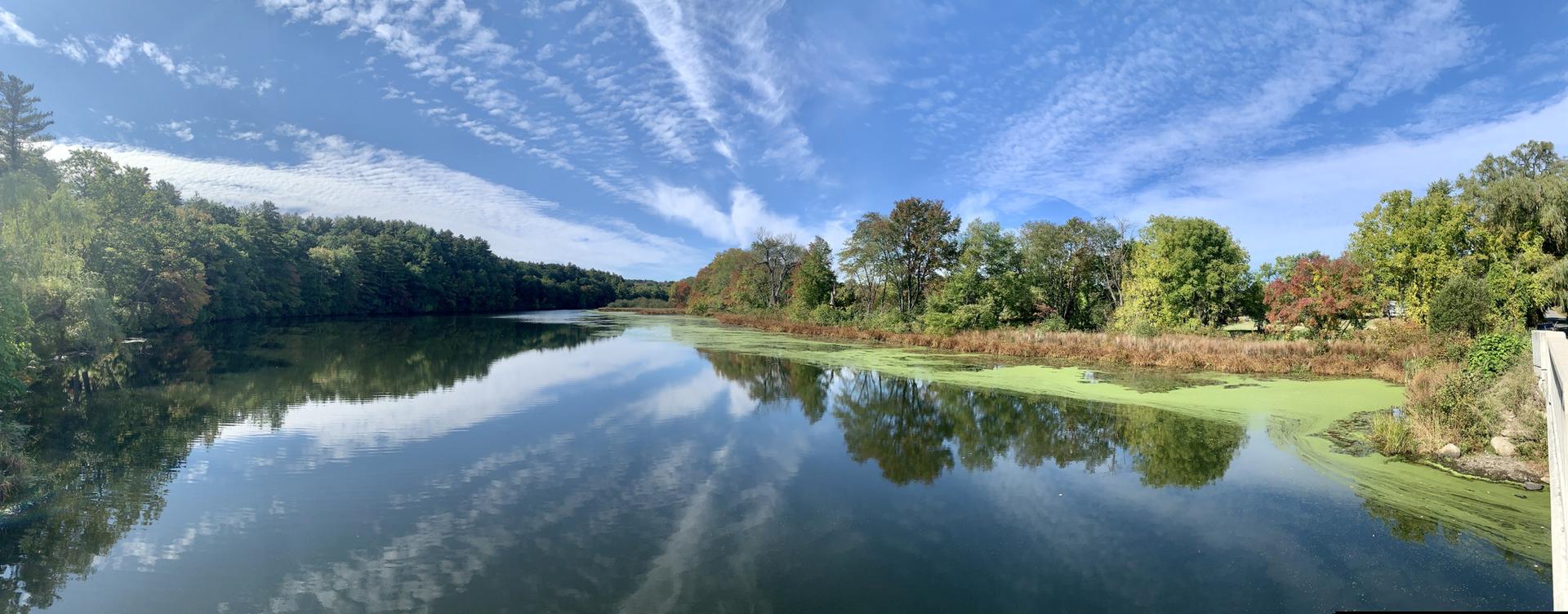Panoramic view of a calm river reflecting blue sky and trees.
