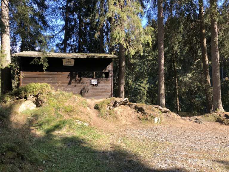 Unterer Grumbacher Teich Schutzhütte (HWN 113) Wanderungen und