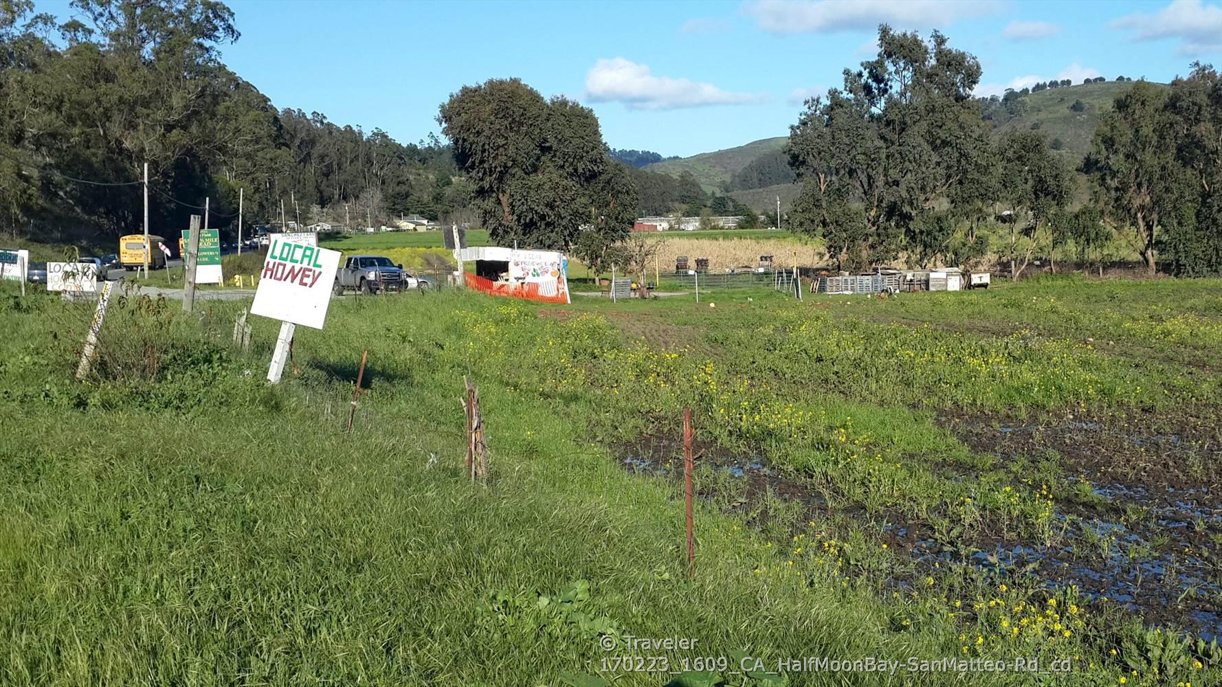 Sunny rural landscape with a "LOCAL HONEY" sign and distant hills.