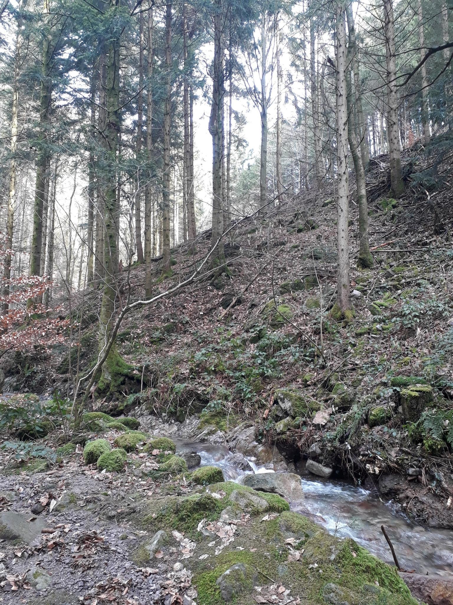 Wanderung Auf Dem Karlsruher Grat – Wandern Im Schwarzwald