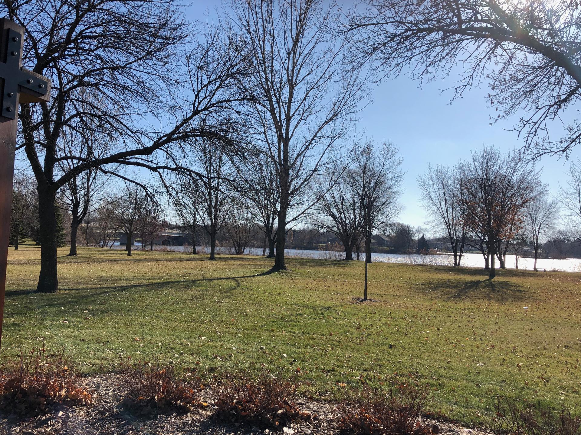 Sunny park with bare trees and a lake in the background.
