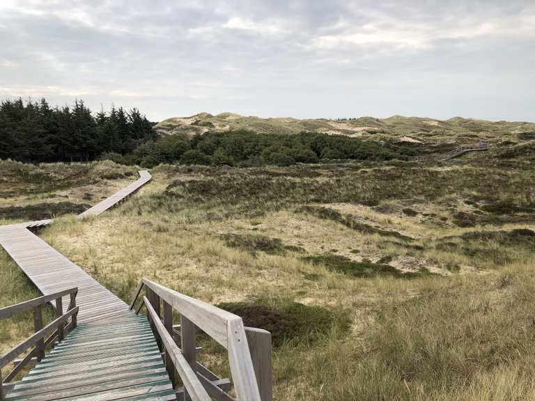 Bohlenweg bei Norddorf – Aussichtsdüne Loop from Norddorf auf Amrum ...