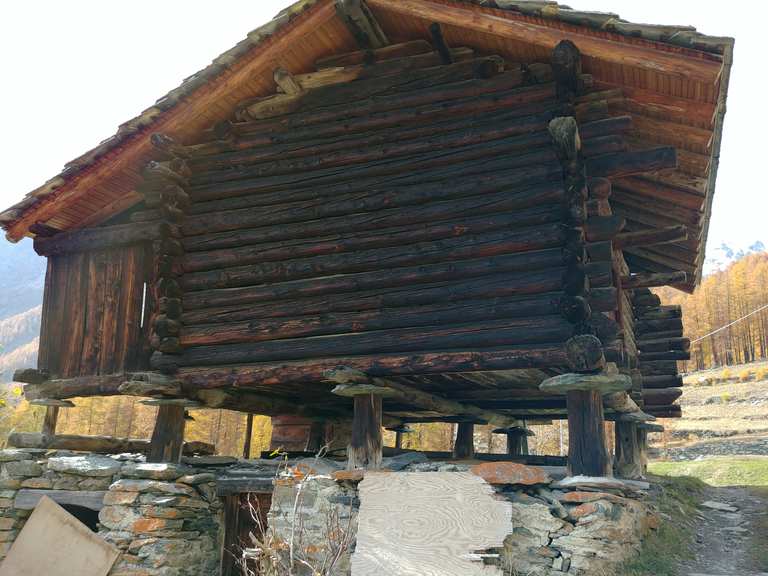 LEVIGATRICE AD ARIA COMPRESSA SMERIGLIATRICE ORBITALE 6" (150mm) TOTAL | Tooltek | Ferramenta - Foto 7