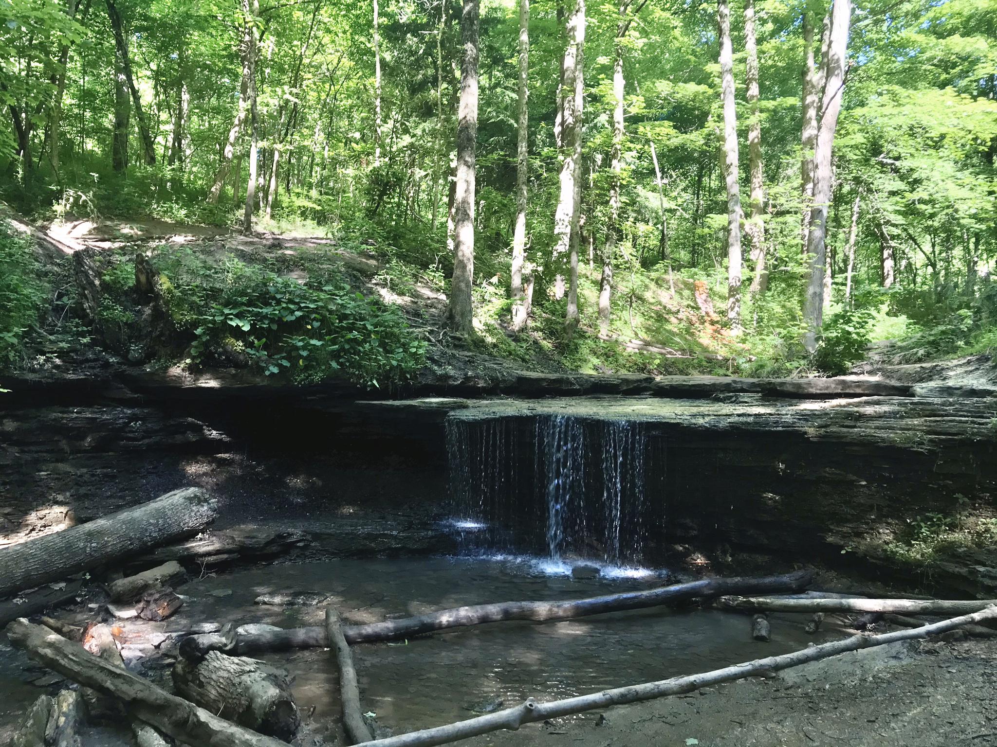 A small waterfall cascades over rocks into a stream in a lush forest.