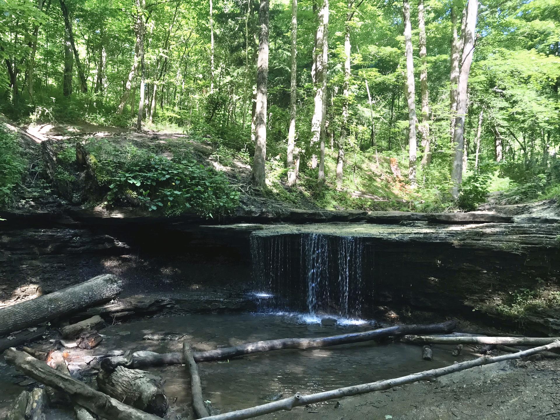 A small waterfall cascades over rocks into a stream in a lush forest.