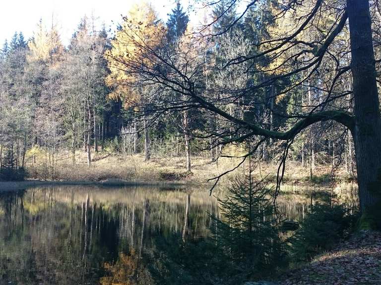 Schwarzer Teich MountainbikeTouren und Trails komoot