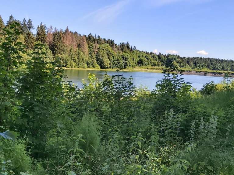 Haus Herzberger Teiche Wanderungen und Rundwege komoot