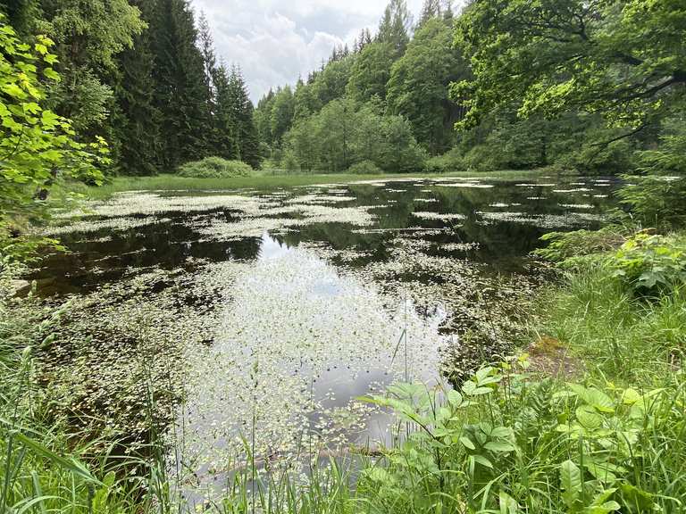 Schwarzer Teich MountainbikeTouren und Trails komoot