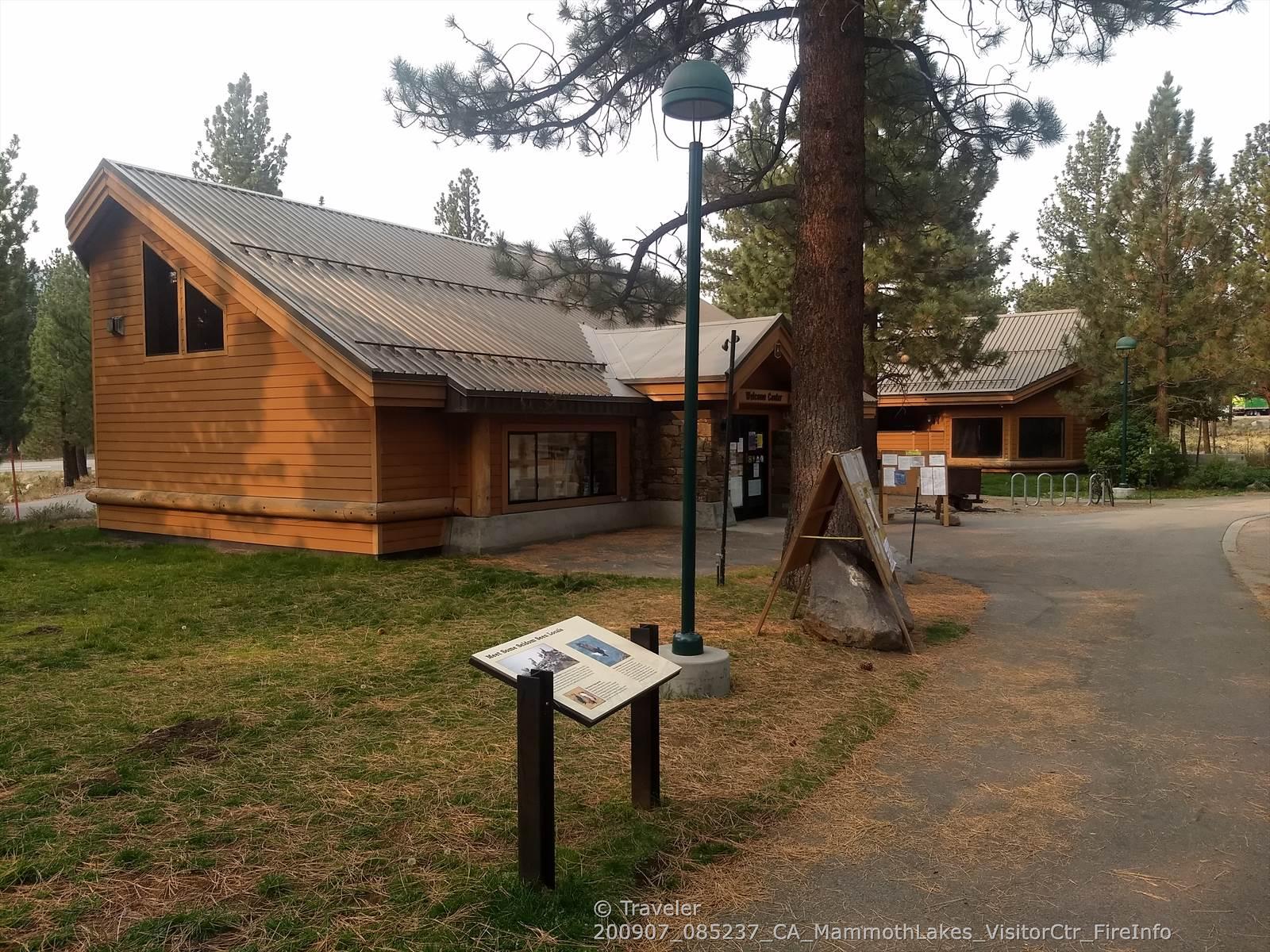 A rustic wooden building next to a path, surrounded by pine trees.
