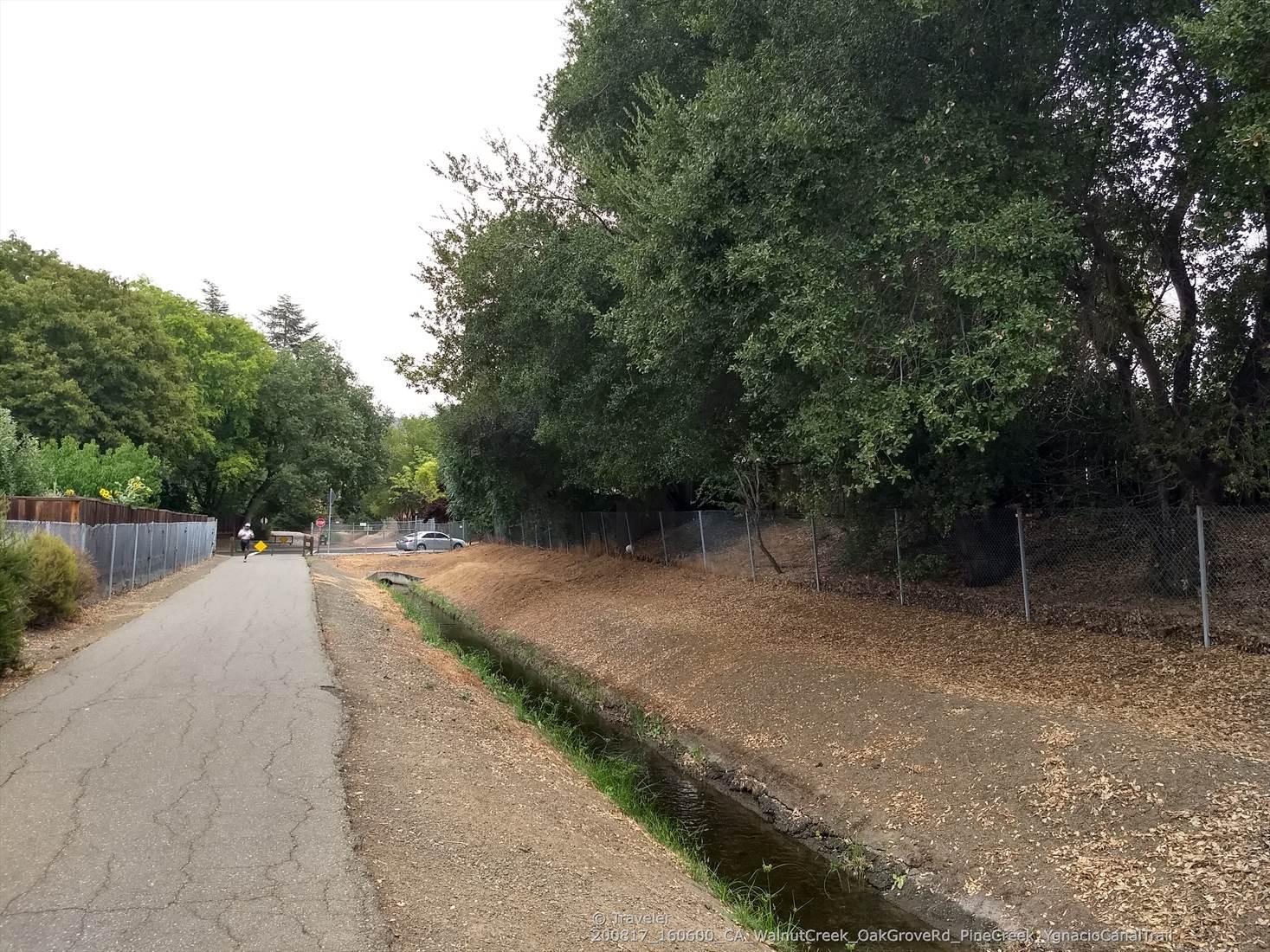 Paved path beside a narrow channel, dense trees, distant walker, overcast day.