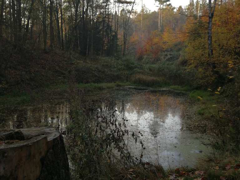 Sieben Teiche Routes for Walking and Hiking Komoot