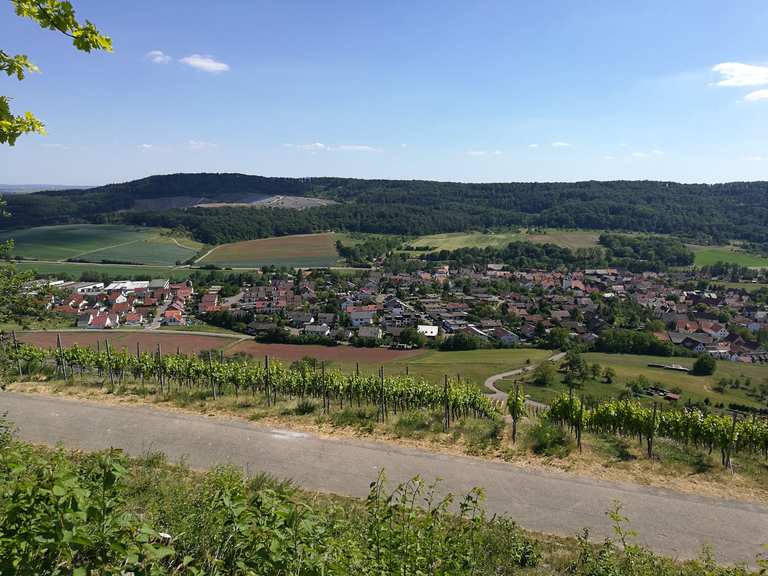 Wachtkopf Wanderungen und Rundwege komoot