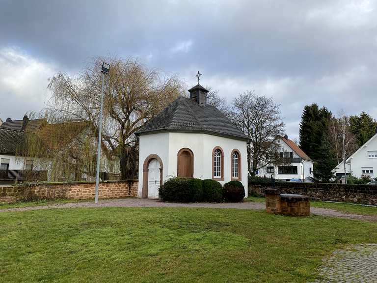 Gustavsburg Wanderungen und Rundwege komoot