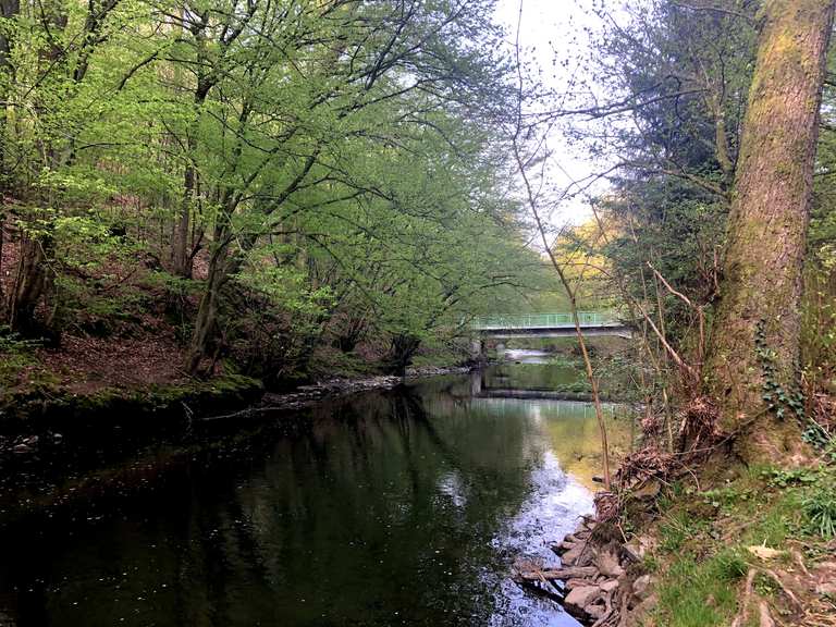 Sülz bei Immekeppel Wanderungen und Rundwege komoot