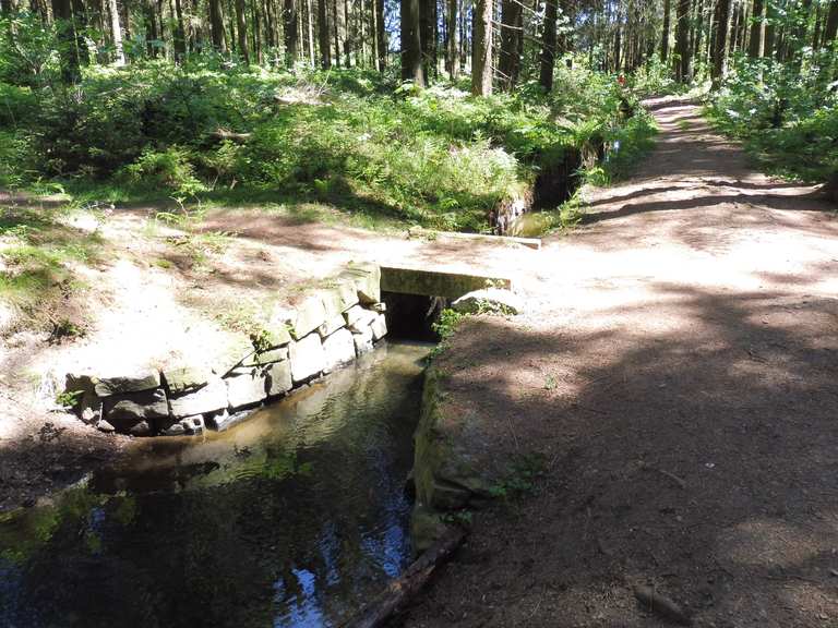 30+ Am Schwarzenbacher Teich, Modernste architektur, herrlich gelegen